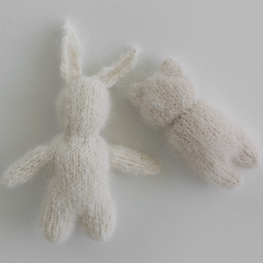 Little Bear + Bunny