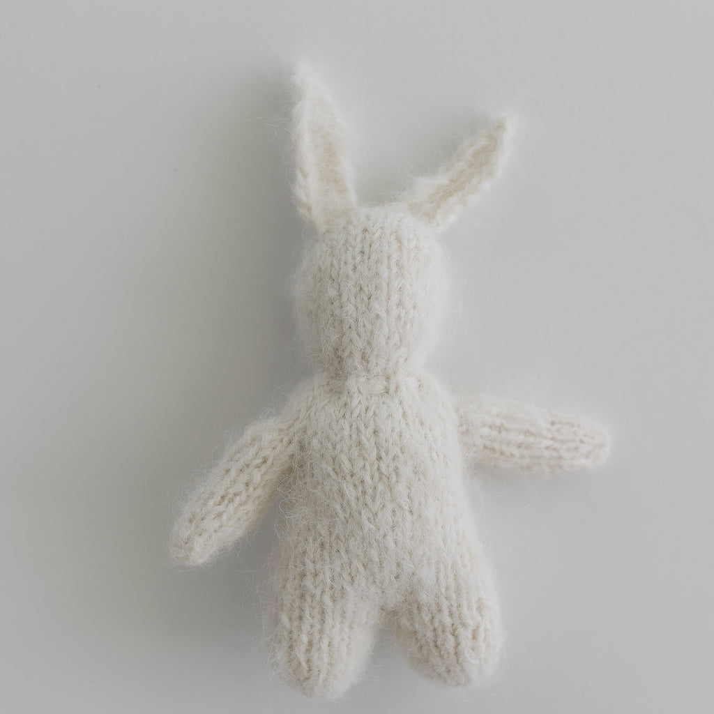 Little Bunny